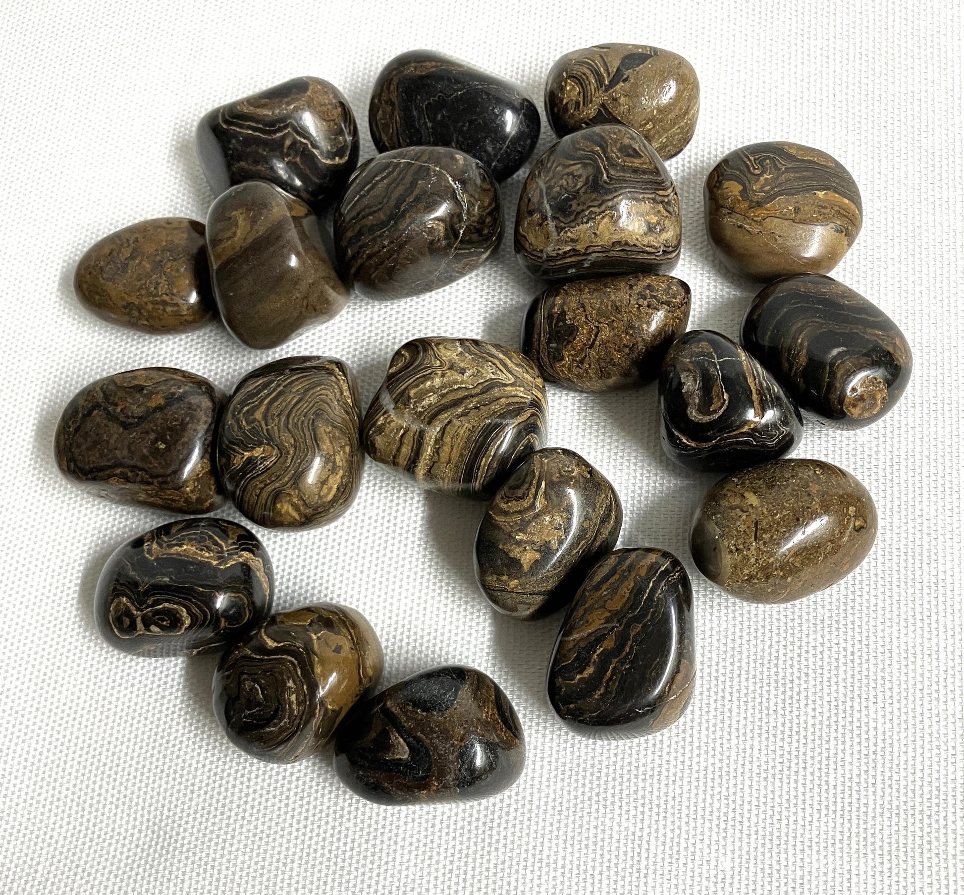 Stromatolite Crystal shown on a white fabric background