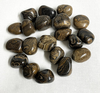 Stromatolite Crystal shown on a white fabric background