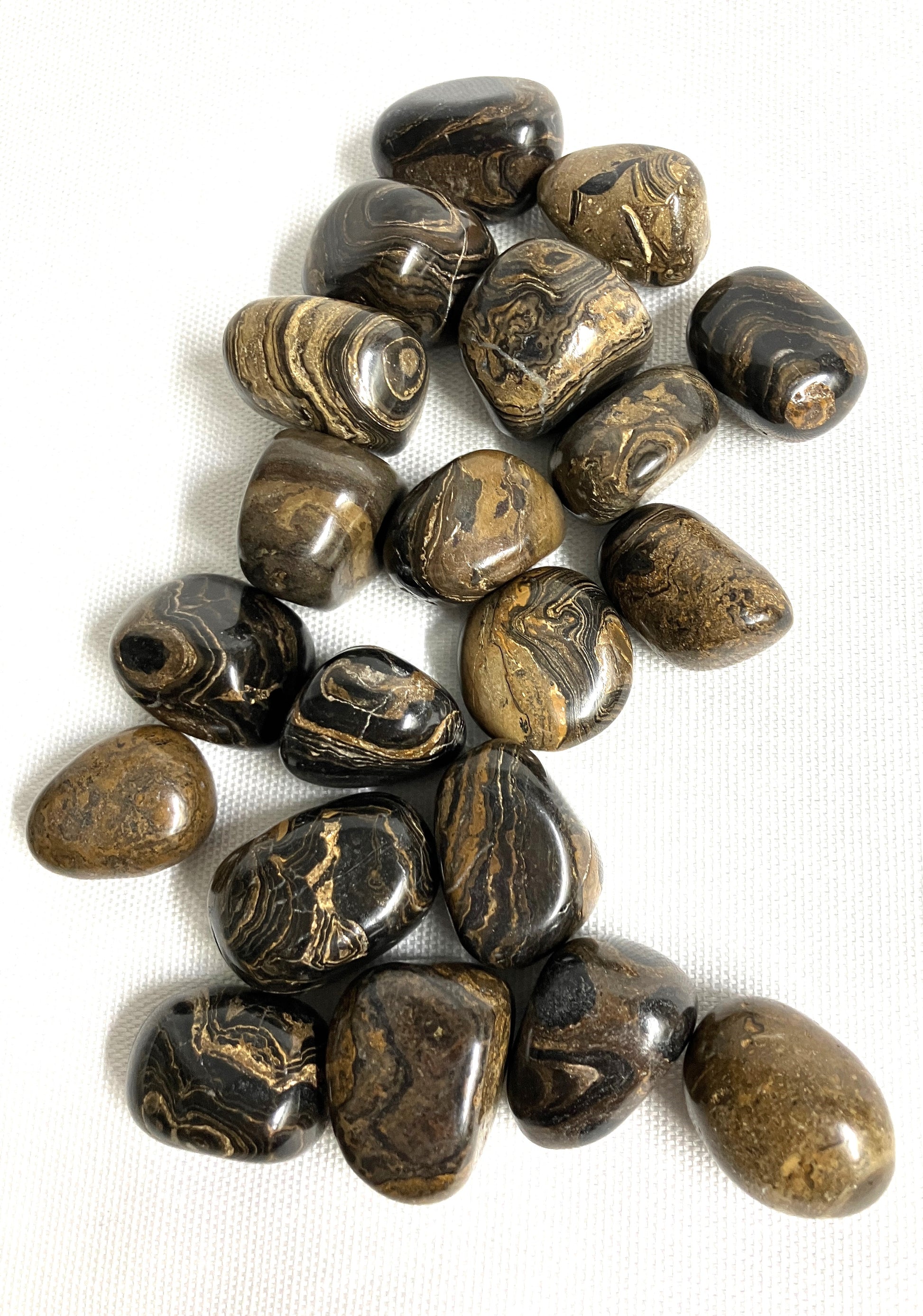 Collection of Stromatolite Crystal showing the marbling on a white background