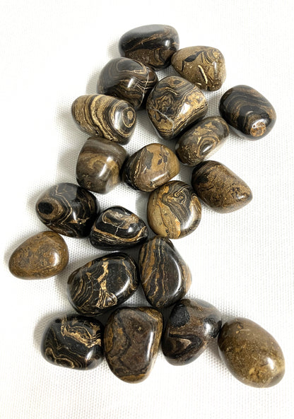 Collection of Stromatolite Crystal showing the marbling on a white background