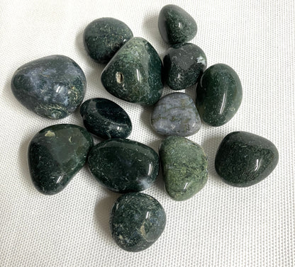 Collection of Moss Agate Crystals  showing the front on a white fabric background