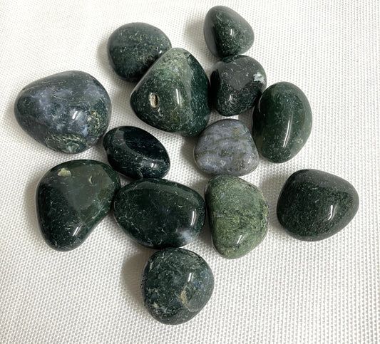 Collection of Moss Agate Crystals  showing the front on a white fabric background