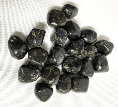 Larvikite Crystals showing the patterns f the crystals on a white background