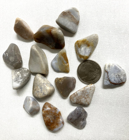 Collection of Blue Chalcedony Crystals on a white fabric background with a coin for scale.