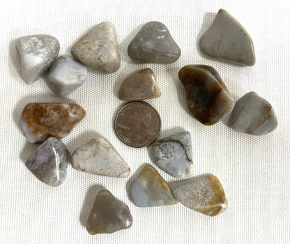 Blue Chalcedony Crystals shown with a quarter for scale on a white fabric background with a penny for scale.