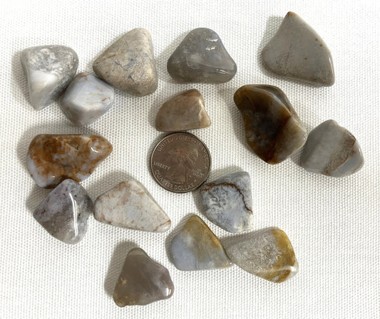Blue Chalcedony Crystals shown with a quarter for scale on a white fabric background with a penny for scale.
