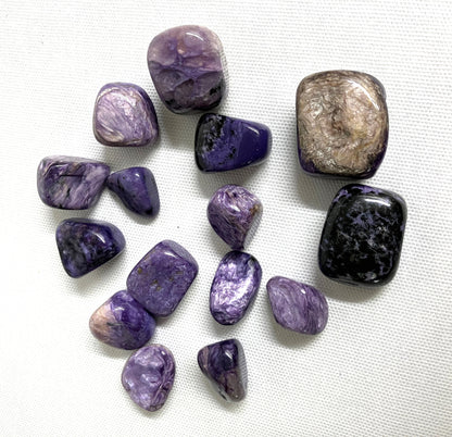 Collection of Charoite Tumbled Crystals showing variations on a white background