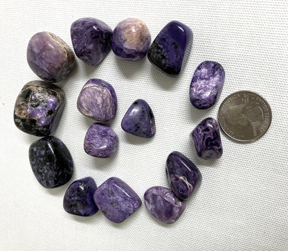 Charoite Tumbled Crystals arranged in a circle on a white fabric background with a quarter for scale.