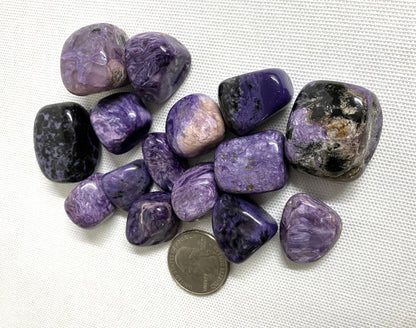 Closeup of Charoite Tumbled Crystals with a quarter for scale on a white background