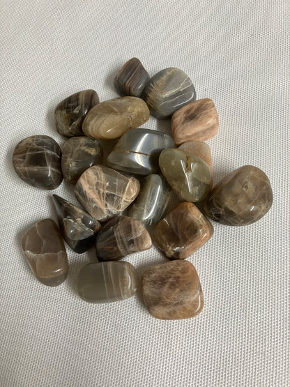 Collection of Black Moonstone Crystals on a textured white surface