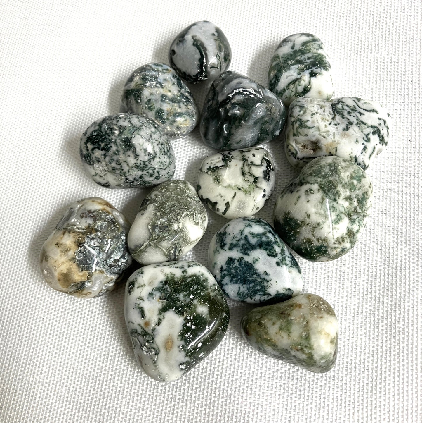 Tree Agate Crystals showing variations of pattern and color shown on a textured white surface