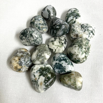 Tree Agate Crystals showing variations of pattern and color shown on a textured white surface