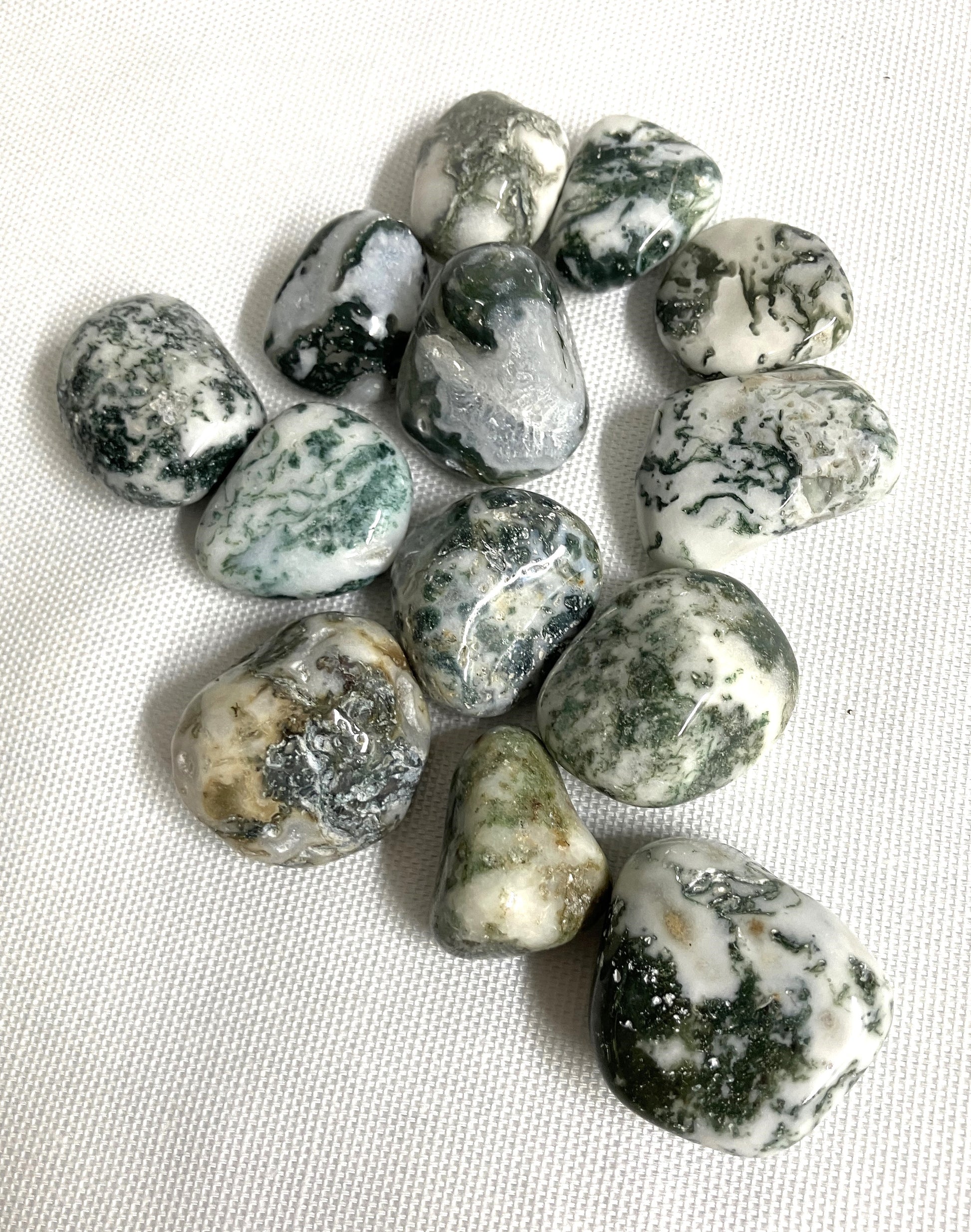 Tumbled Tree Agate Crystals on a textured white surface