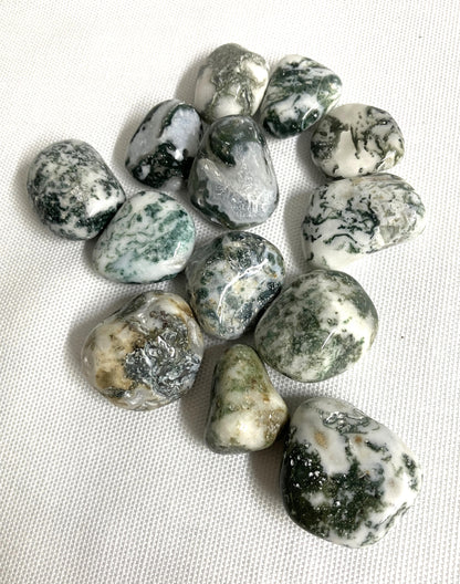 Tumbled Tree Agate Crystals on a textured white surface