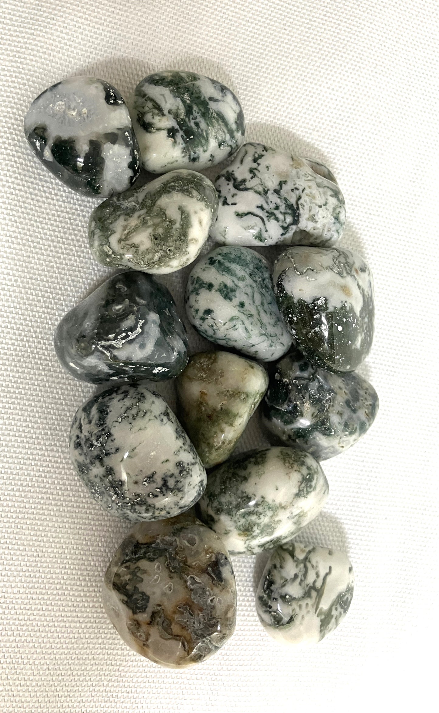 Back view of Tree Agate Crystals on a white background