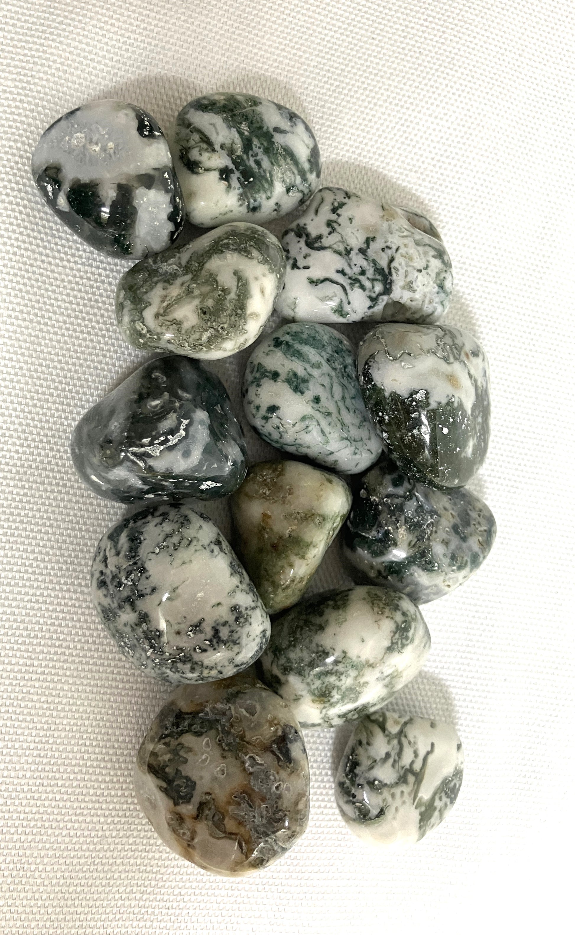 Back view of Tree Agate Crystals on a white background