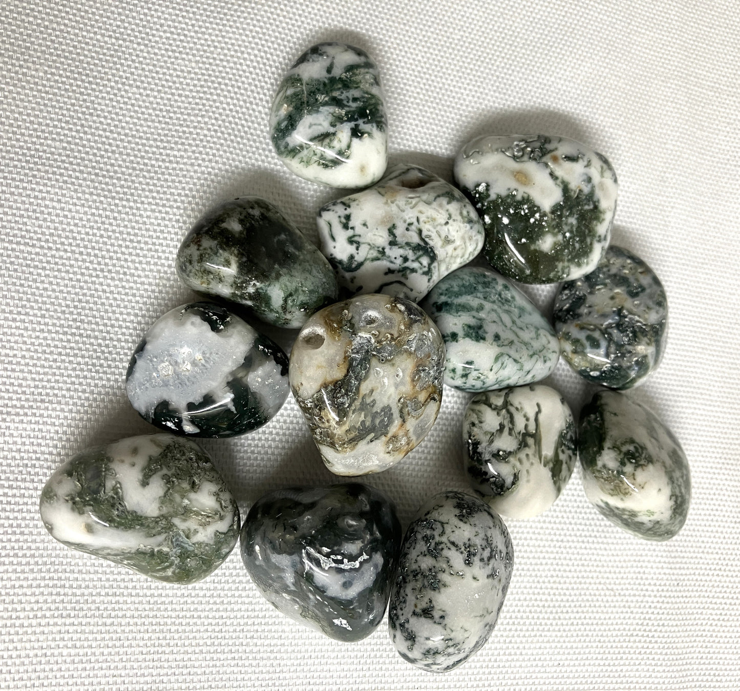 Front view of Tree Agate Crystals on a textured white surface