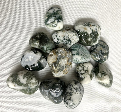 Front view of Tree Agate Crystals on a textured white surface