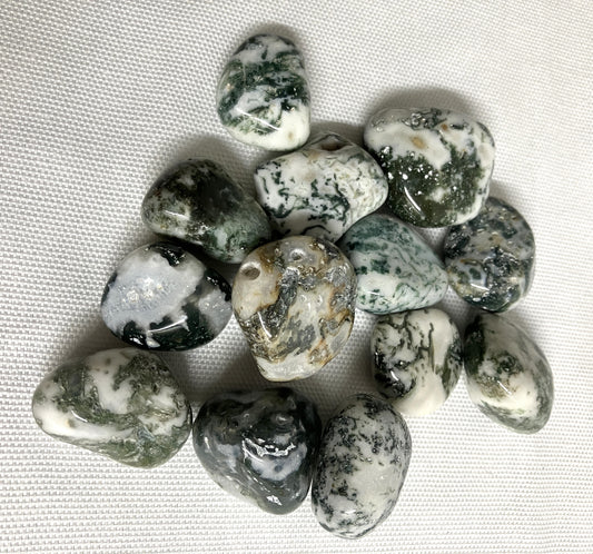 Front view of Tree Agate Crystals on a textured white surface