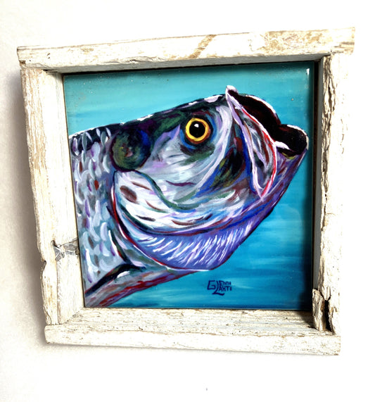 Framed painting of  "King of the Backcountry" fish in a white frame on a light blue background