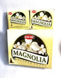 Master carton and two boxes of HEM Magnolia incense cones shown on a white background