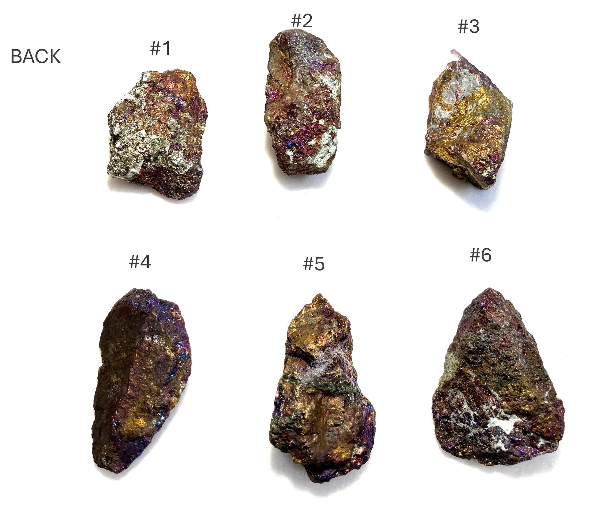 Six Peacock Ore specimens labeled with numbers on a white background Back view.