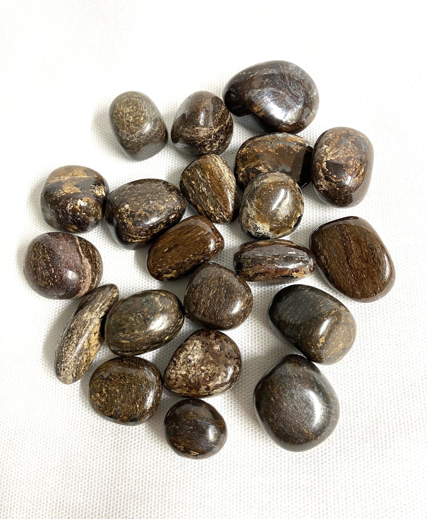 Collection of Bronzite Crystals  on a white fabric background