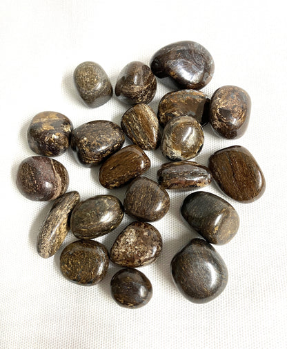 Collection of Bronzite Crystals  on a white fabric background