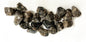 Turritella Fossil Agate Tumbled on a white background