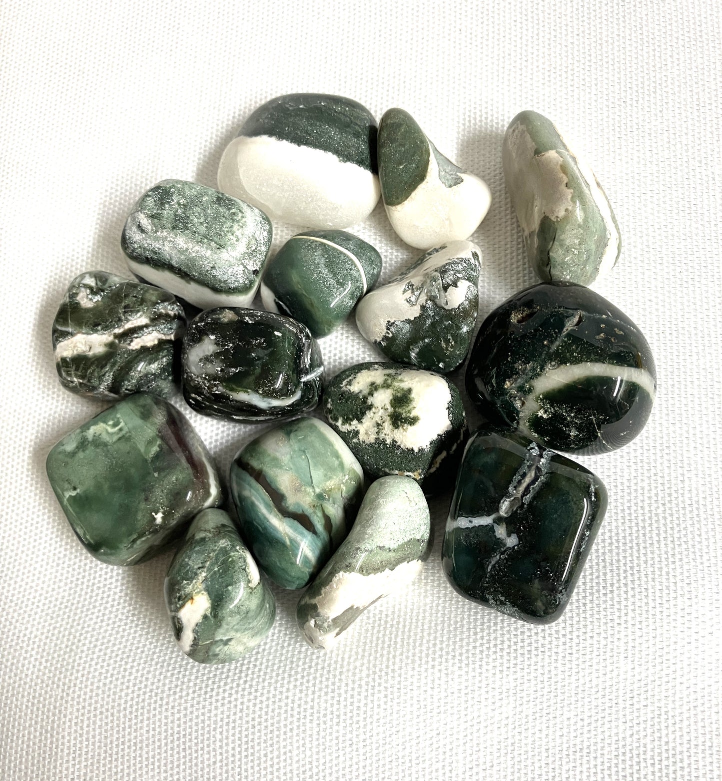 Green Sardonyx Crystals showing off the variations of color and pattern on a white background