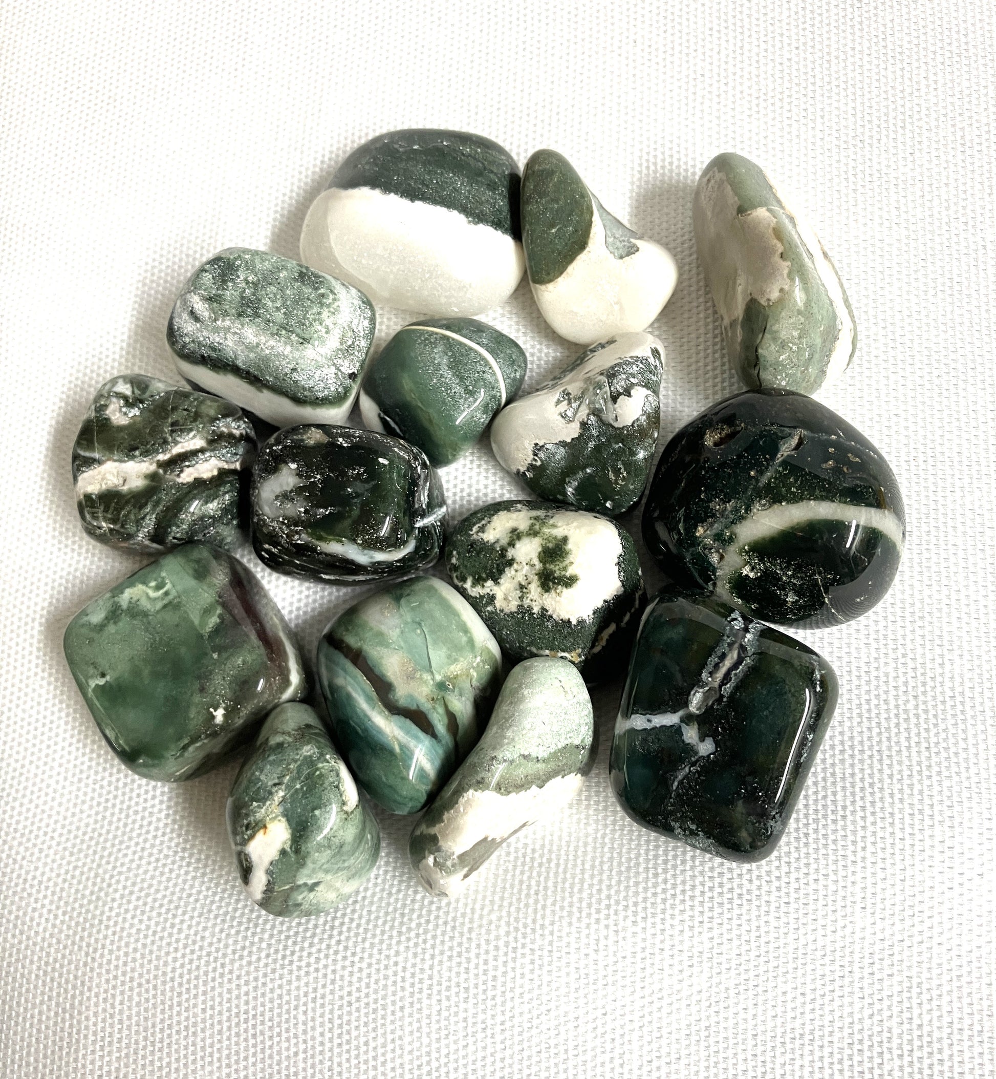 Green Sardonyx Crystals showing off the variations of color and pattern on a white background