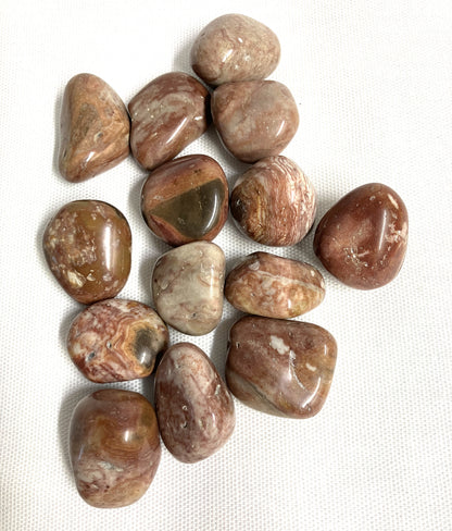 Crazy Lace Agate Crystals showing the assorted pattern and color combinations on a white fabric background