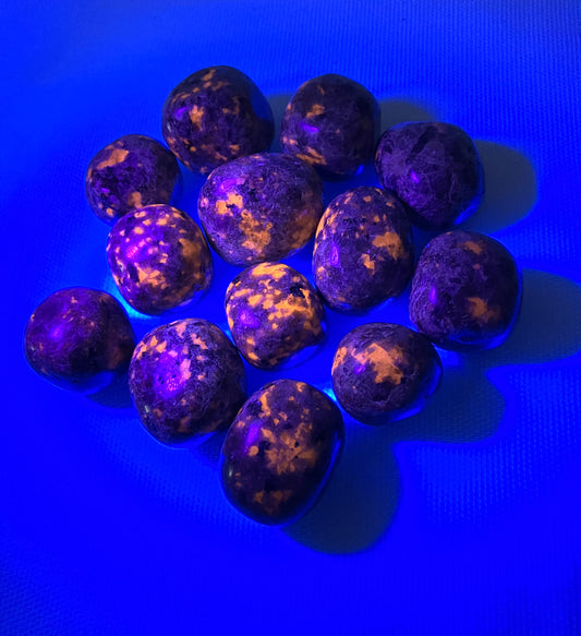UV view of Flame Crystal AKA Yooperlite on a blue background