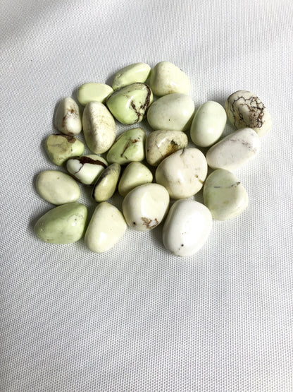Bottom view of Lemon Chrysoprase Tumbled Crystals on a light gray background