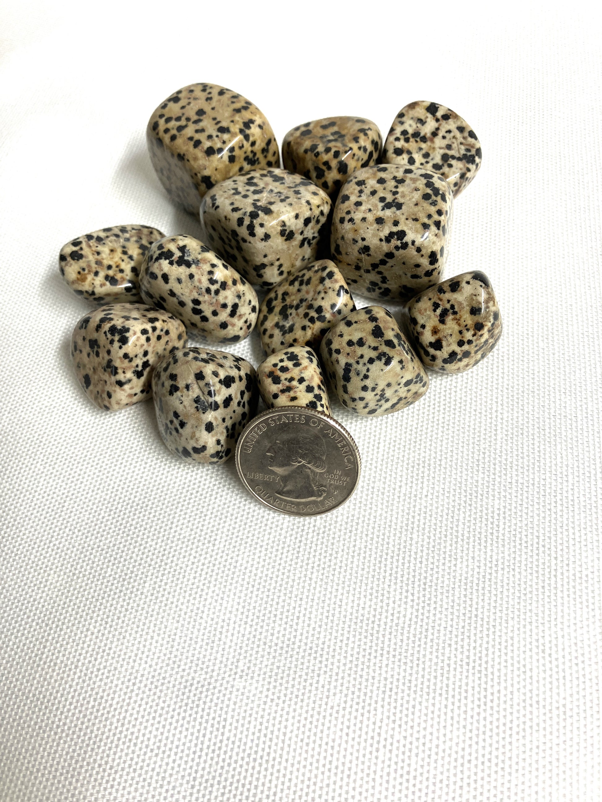 Another view of Dalmatian Jasper Crystals with a quarter for scale on a white background