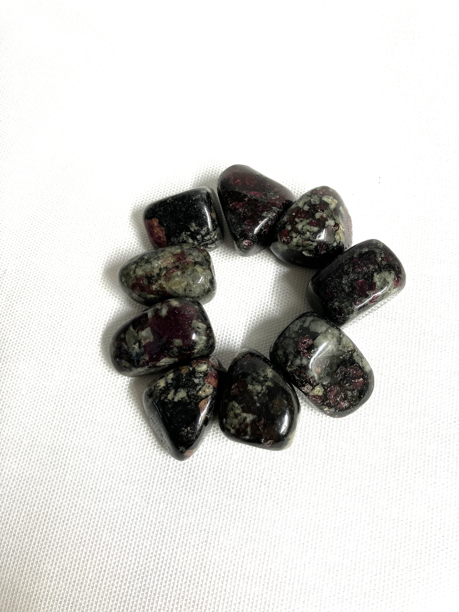 Eudialyte Tumbled Crystals arranged in a circle on a white background