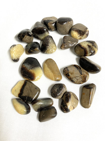 Group of Septarian Crystals aka Dragon Stones on a white background