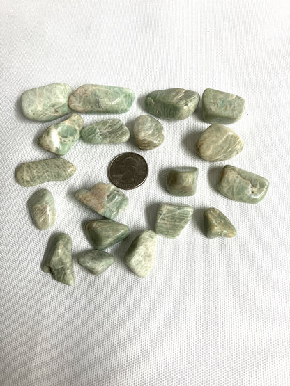 Tumbled Amazonite Crystals on a white background with a quarter for scale