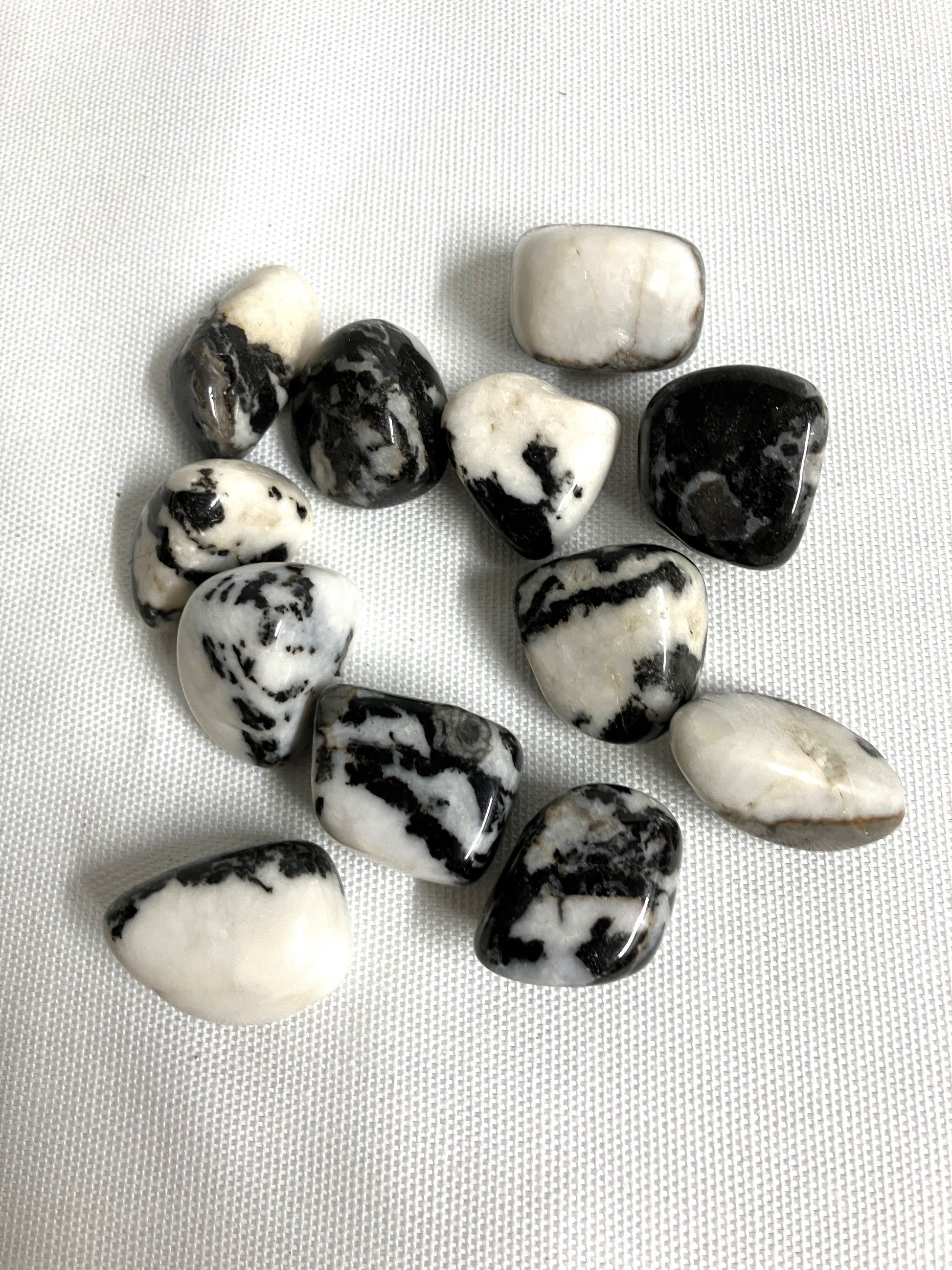 Group of Black Zebra Jasper Crystals on a light gray background