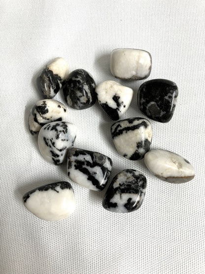 Group of Black Zebra Jasper Crystals on a light gray background