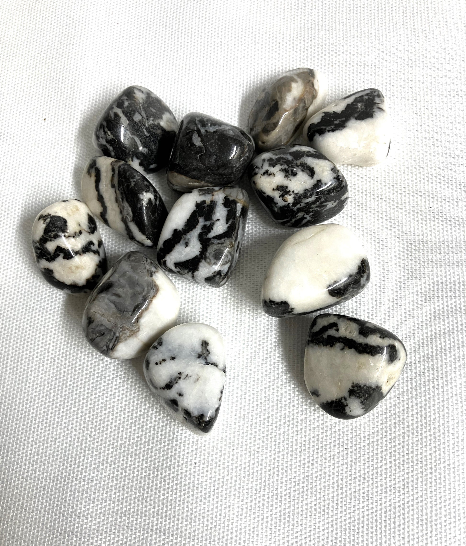 Tumbled Black Zebra Jasper Crystals on a textured white background