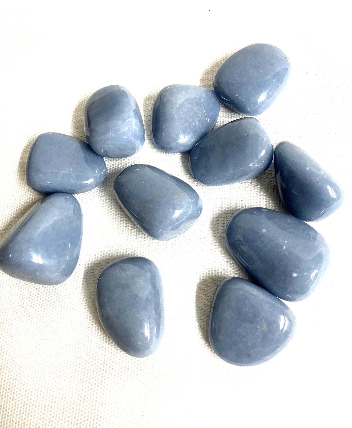 Angelite Crystal showing a  back side of a selections of crystals on a white background