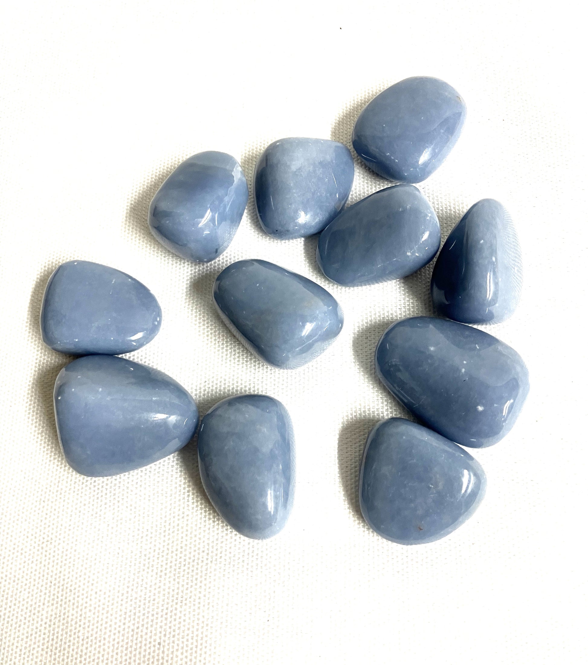 Angelite Crystals arranged in a scattered pattern on a white background