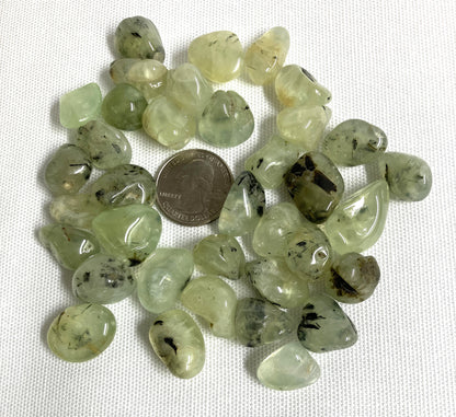 Prehnite with Epidote Crystals back side shown with a quarter for scale on a white background