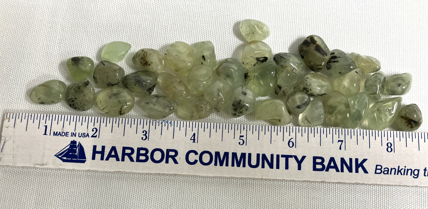 Prehnite with Epidote Crystals on a white background with a ruler for scale.