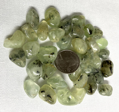 Prehnite with Epidote Crystals shown with a coin for scale on a white background