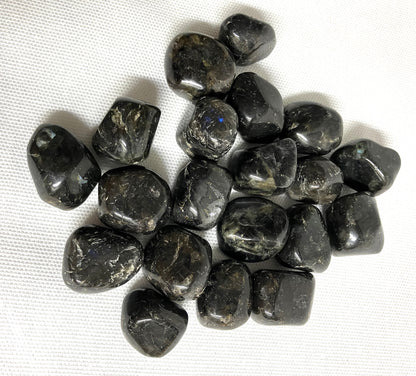 Larvikite Crystals showing the patterns f the crystals on a white background