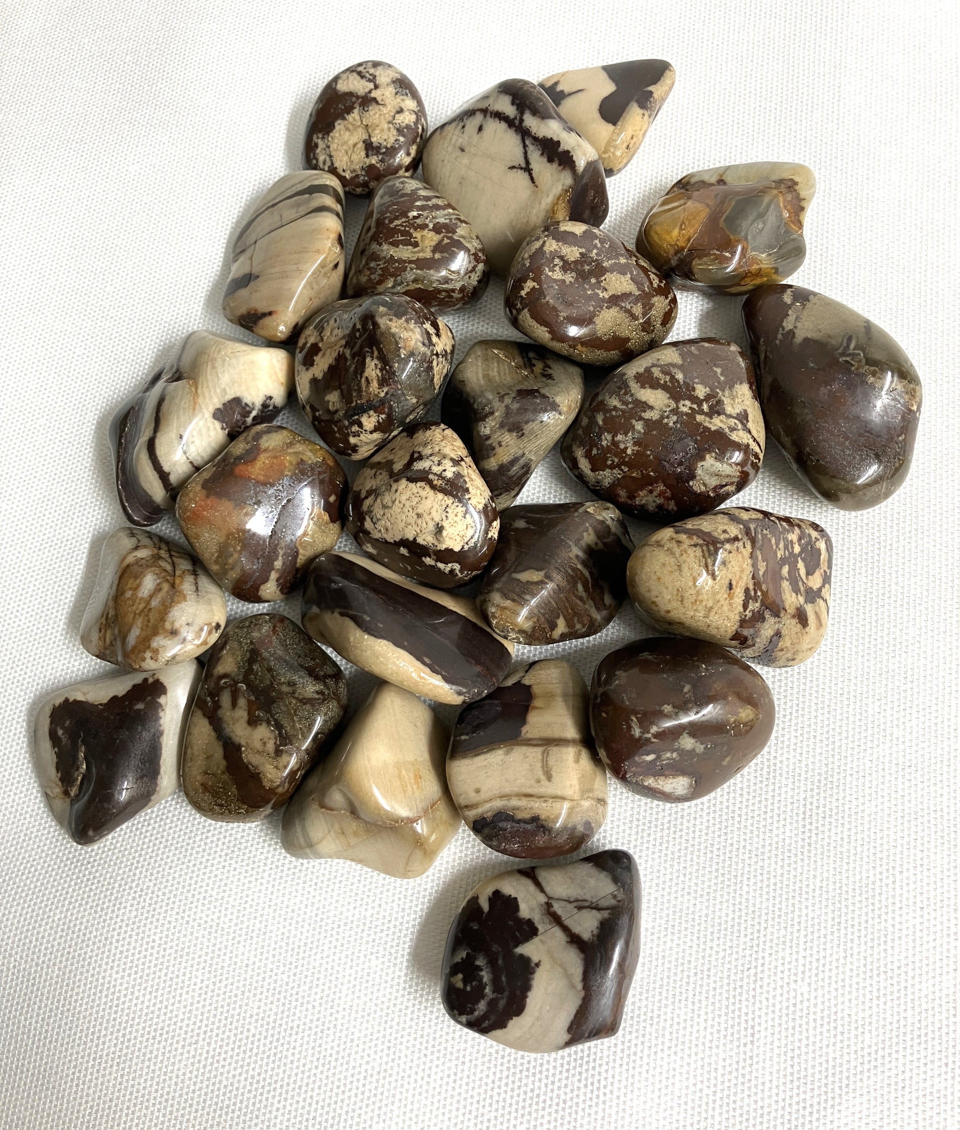 Back side of Nguni Jasper Crystals displaying variations of color and pattern on a white background