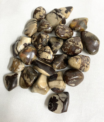Back side of Nguni Jasper Crystals displaying variations of color and pattern on a white background