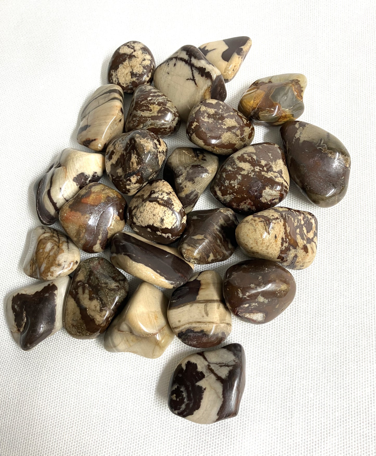 Group of Nguni Jasper Crystals showing the colors and patterns on a white background